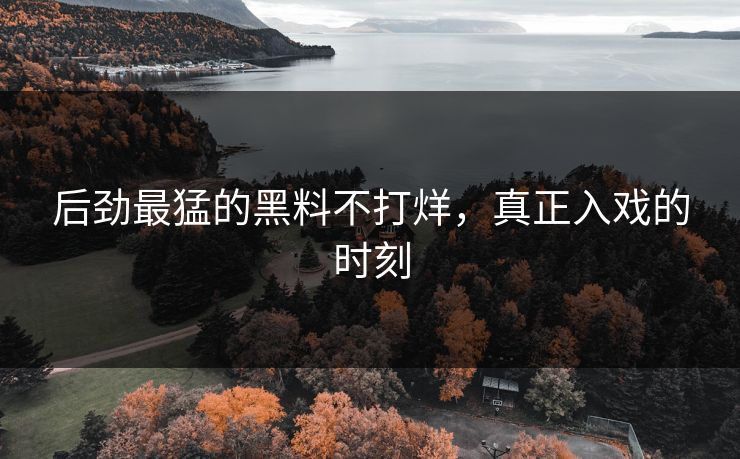 后劲最猛的黑料不打烊，真正入戏的时刻