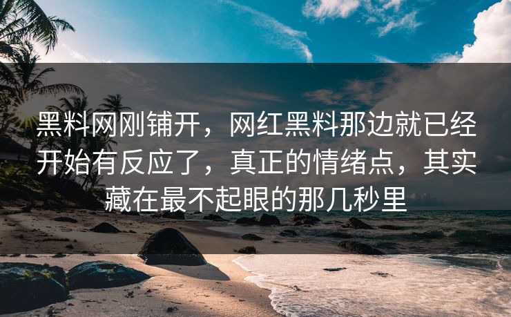 黑料网刚铺开，网红黑料那边就已经开始有反应了，真正的情绪点，其实藏在最不起眼的那几秒里