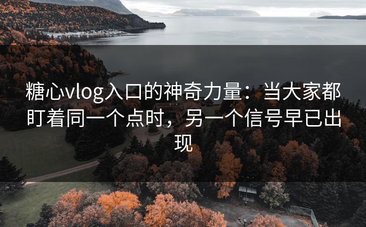 糖心vlog入口的神奇力量：当大家都盯着同一个点时，另一个信号早已出现
