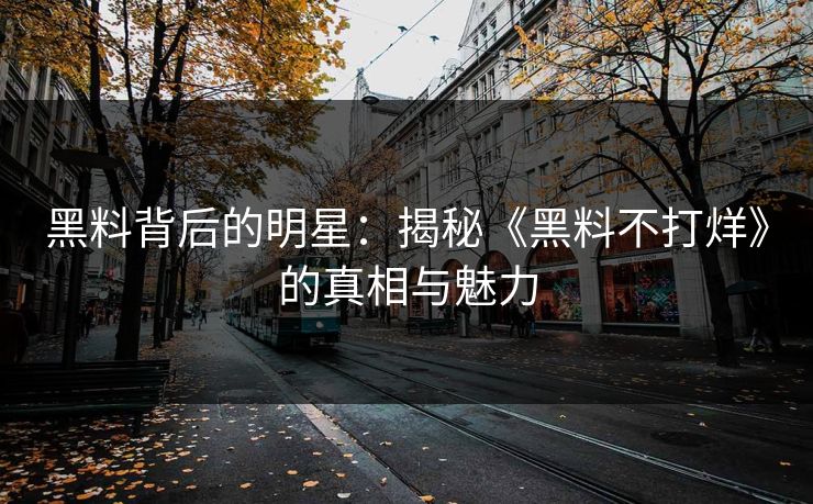黑料背后的明星：揭秘《黑料不打烊》的真相与魅力